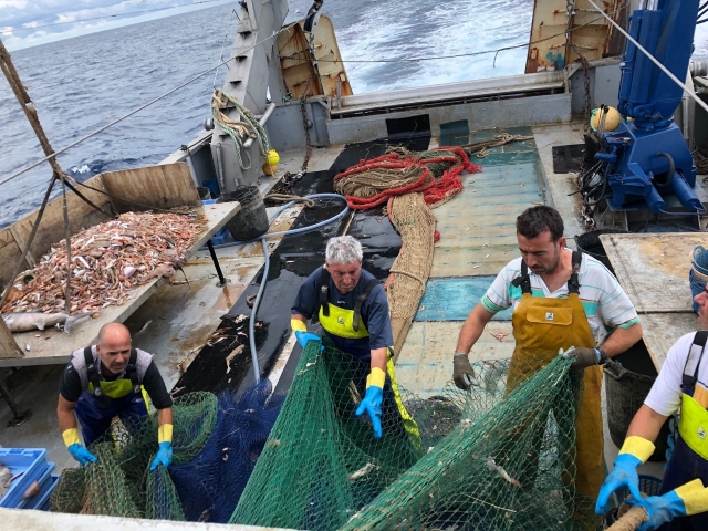 Sacudiendo las redes