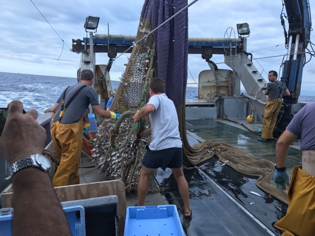 Faenando en el barco