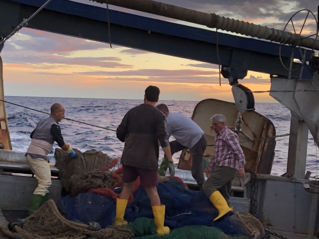 Labores de recuperacion de las redes