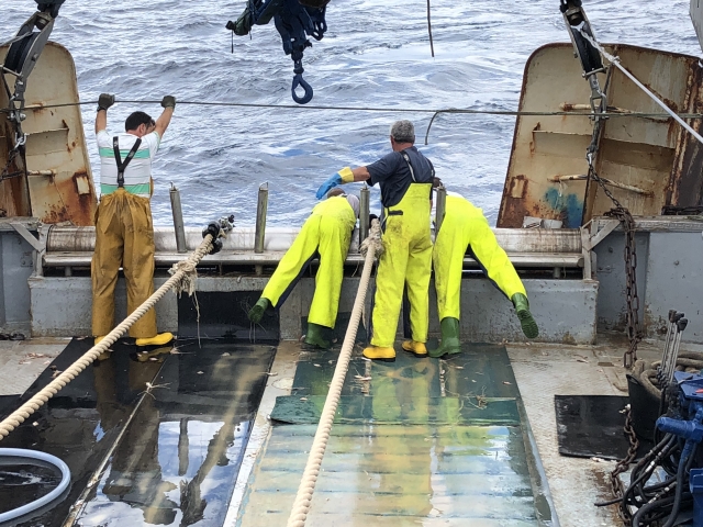 Recuperando las redes