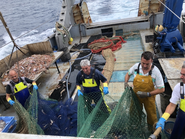 Sacudiendo las redes en Castellon