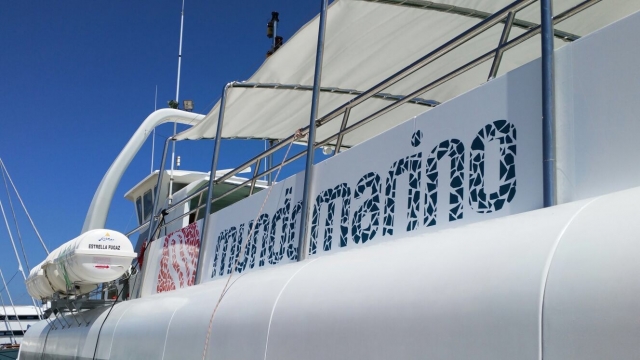 Lateral catamaran Mundo Marino