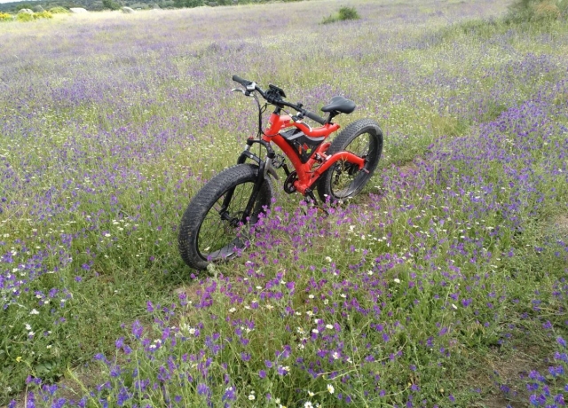 Fat bike entre flores silvestres