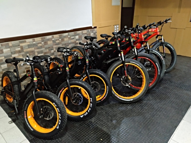 Algunas de nuestras bicis