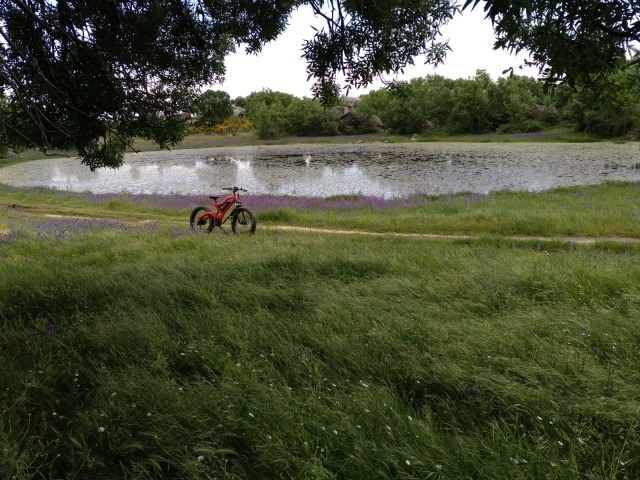 Fat bike en la laguna