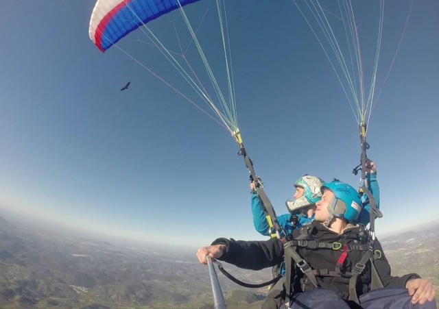 Viendo rapaces desde el parapente en Malaga