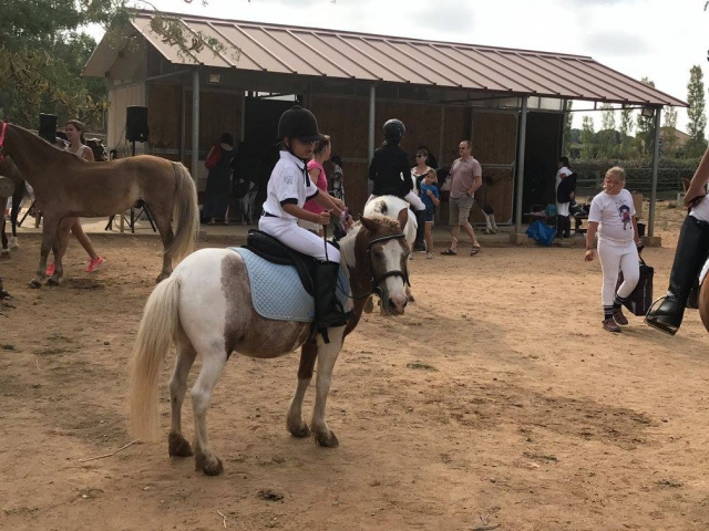Actividades ecuestres infantiles