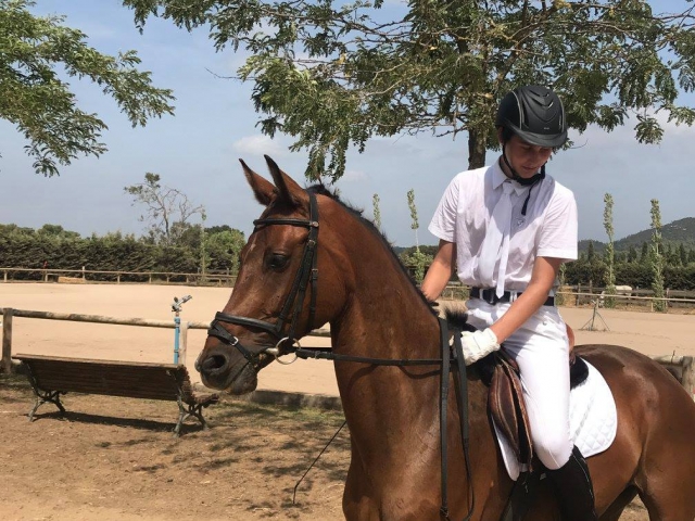 Jinete entrenando a caballo