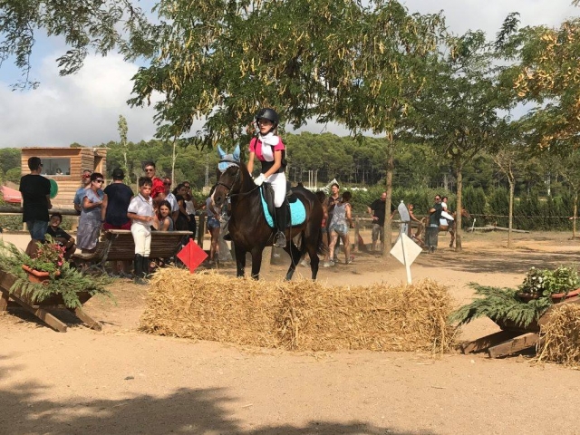 Participando en el concurso ecuestre