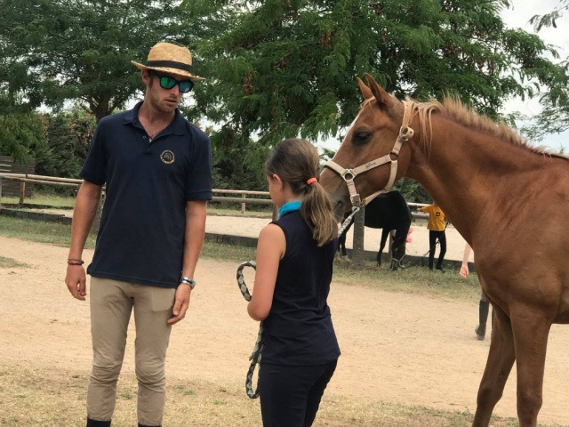 Llevando al caballo de las riendas