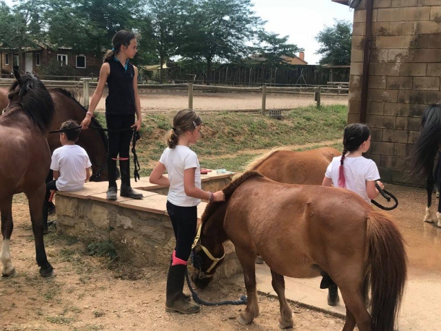 Cuidando de los caballos
