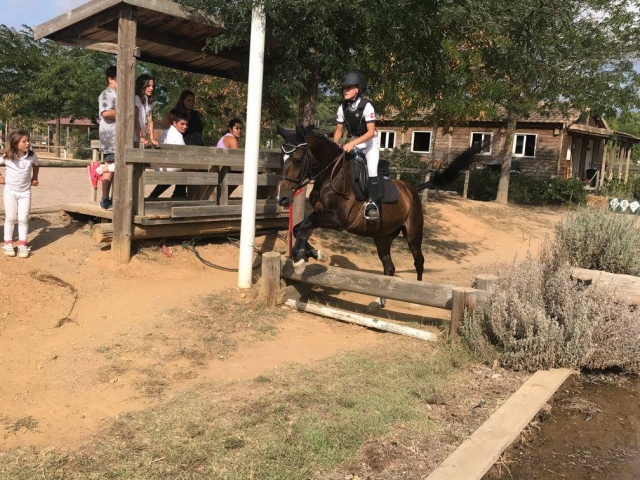 Salto de valla a caballo