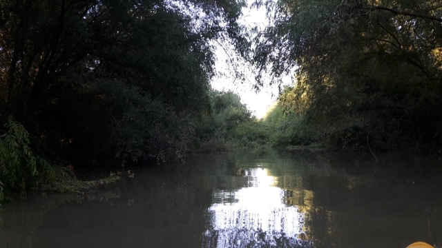  Rio Jandula sous les arbres 