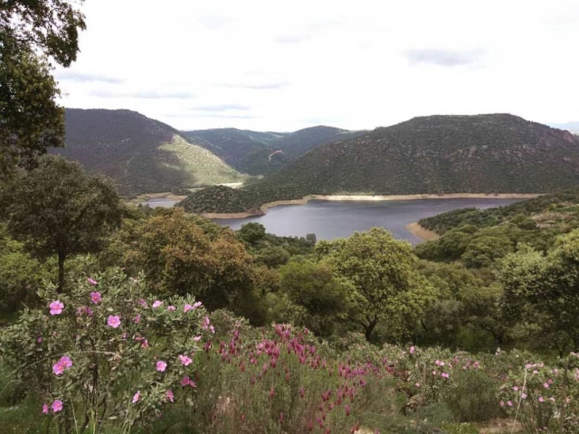  Réservoir de la Sierra de Andujar 