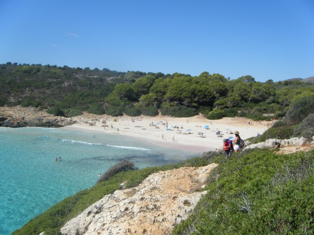  景观Cala Falco 