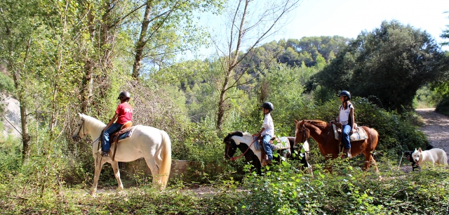  Horseback riding in Montserrat 
