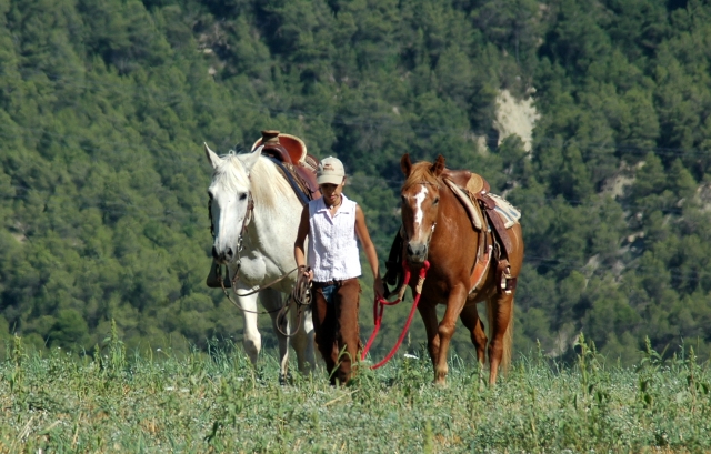  Horseback riding routes in Catalonia 