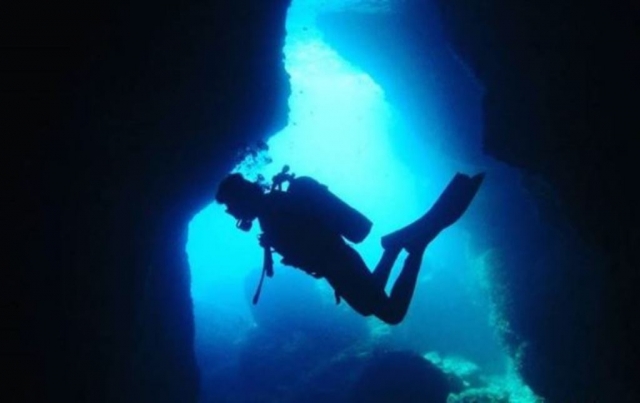 Todas las licencias PADI