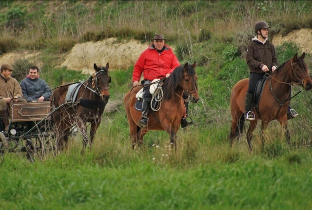Salida con coche de caballos en La Rioja