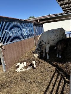 res_o-64892-rutas-a-caballo_de_anna-lagaard_17526925809128.jpeg