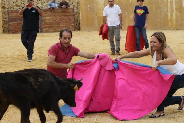 Apprendre à corrida une génisse 