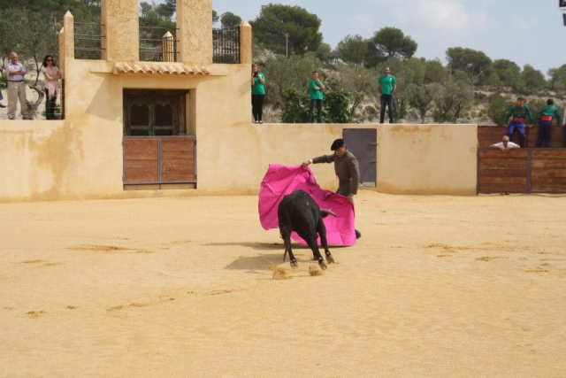  Fêtes avec sceau taurin 