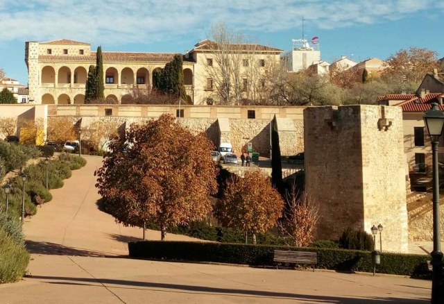  Palacio del Infantado