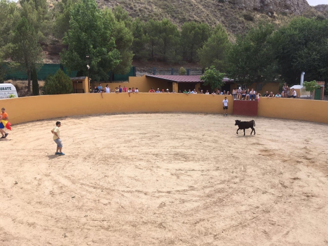 Frente a la vaquilla en la arena