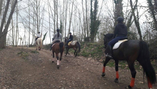  Itinéraire équestre à travers la vallée de Tenes 