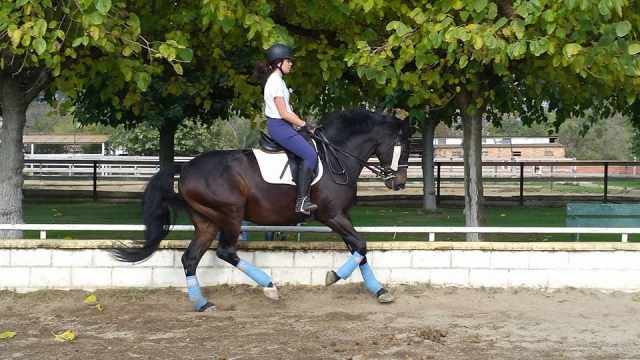  Cours d'équitation à Barcelone 