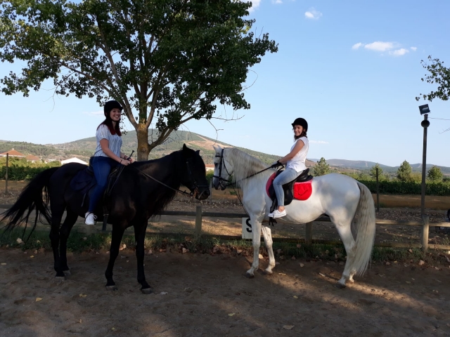 Dos de los caballos del centro de Queizas