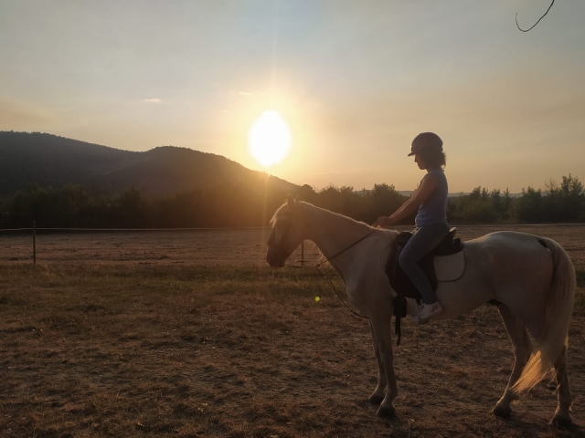 f2eaaeea-feca-4df3-93cc-f3f8d06e64c1