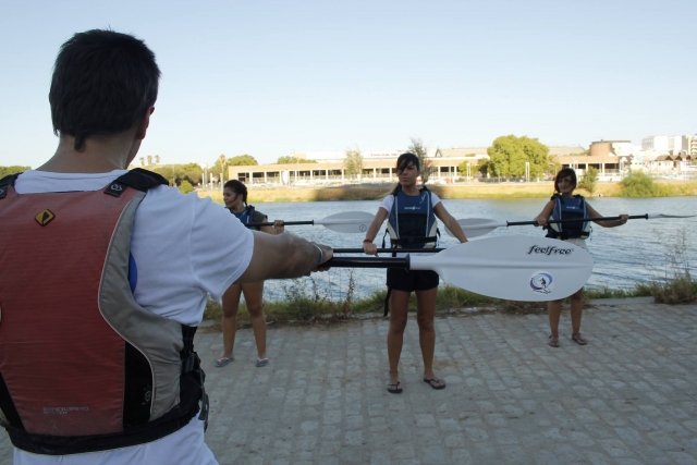 Cursos especializados