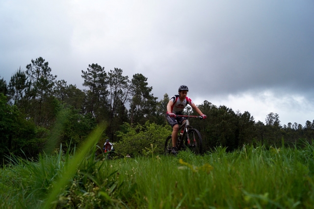 Saliendo de la arboleda en bici