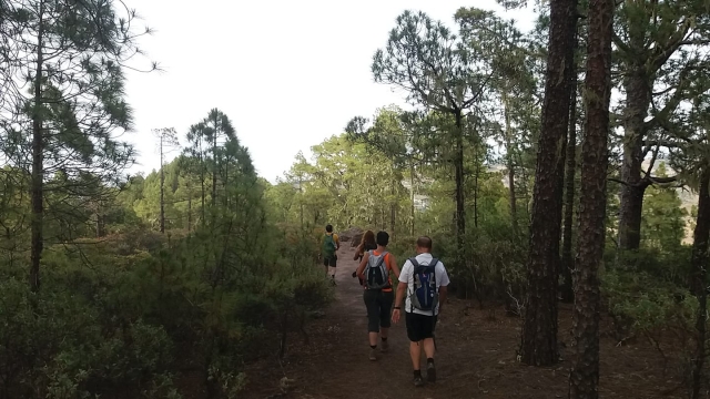  Percorsi da 16 a 21 chilometri 