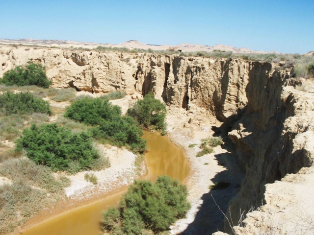 Barrancos 