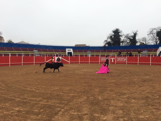 Toreando a una vaca mas grande