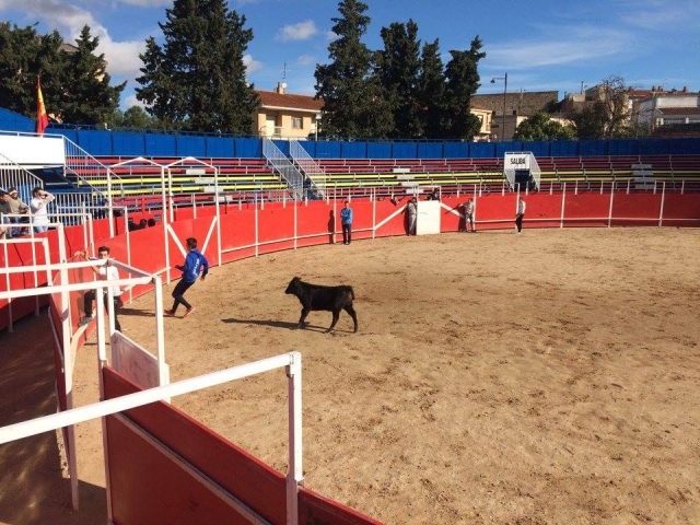 Vaquilla tras los participantes