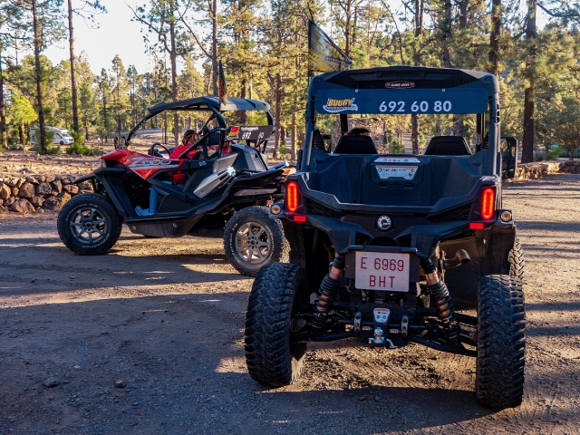Diversión y adrenalina conduciendo el buggy