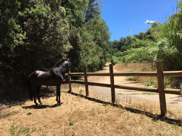 Sant Cugat del Valles