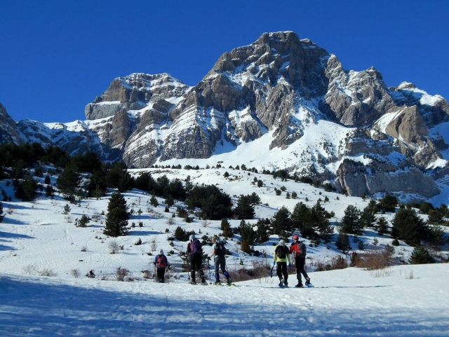 Amigos en ruta con raquetas de nieve