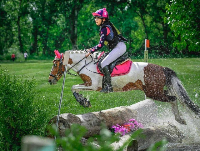 Trained ponies 
