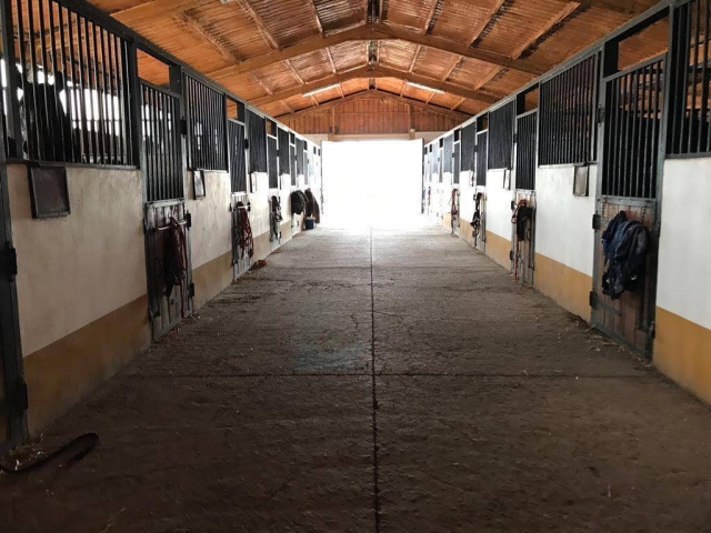  Equestrian stables 