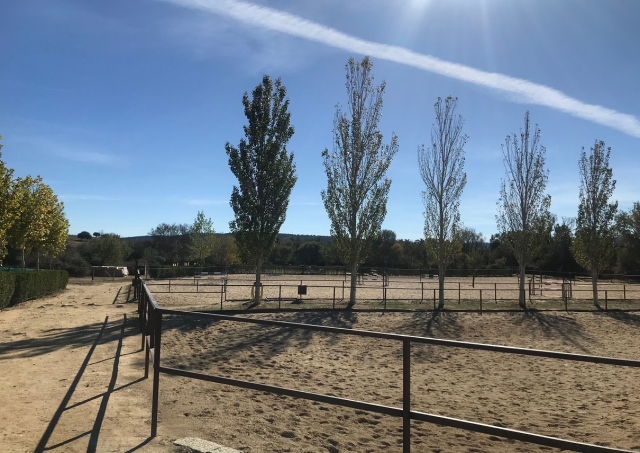 e-19750484-arboles-alrededor-de-la-pista-hipica15426406288982.jpg