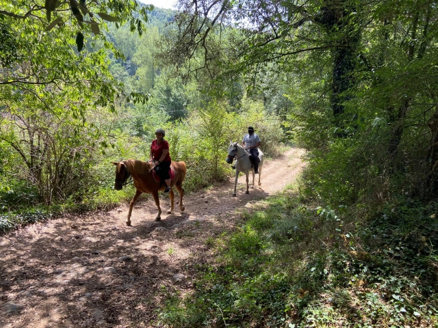Rutas a caballo en la comarca de la Garrotxa