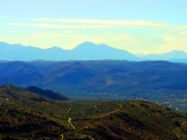 The region from the heights 