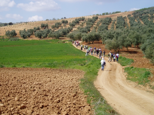  Hiking in Málaga 