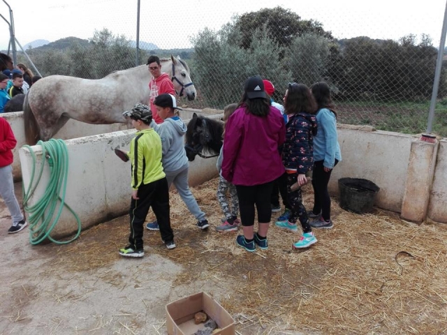  Children visiting the horses 