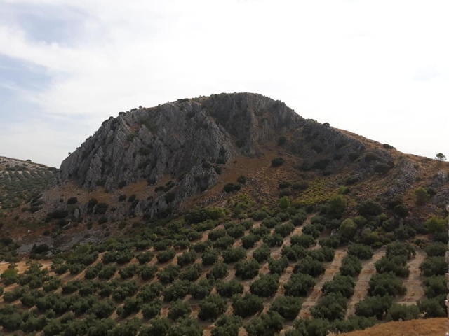  Archidona trails 
