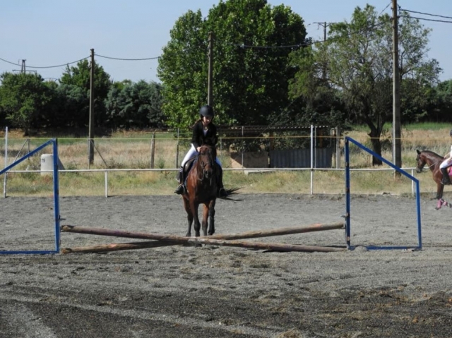  Imparare l'equitazione professionale 